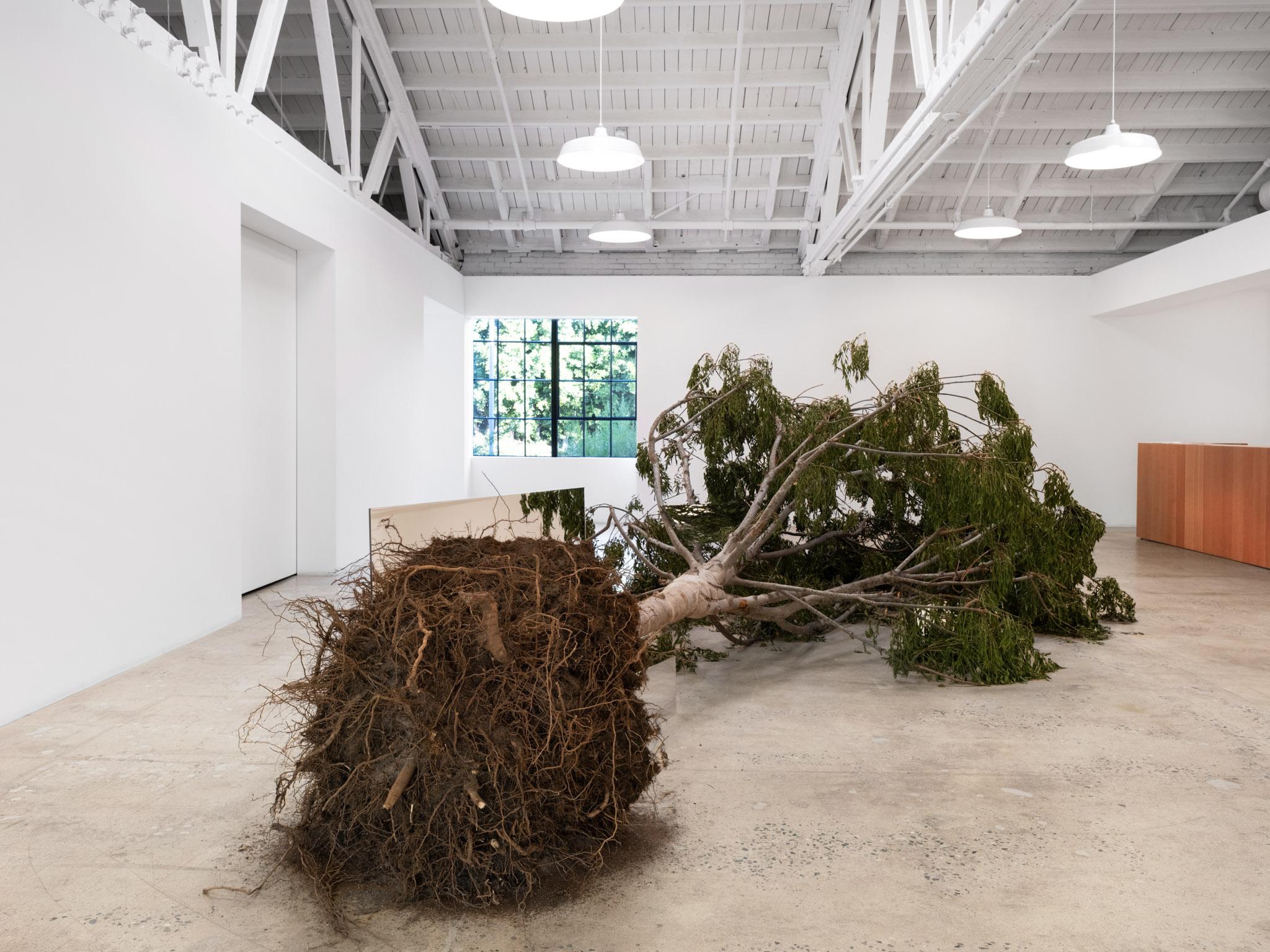 Mirror Displacement: Indoors | Holt/Smithson Foundation